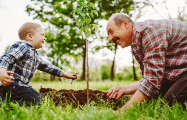 Bir büyükbaba ve torunu parkta otururken neşeyle burunlarına dokunurlar. Güneşli bir öğleden sonra yeşil çimenler ve ağaçlarla çevrilidir..