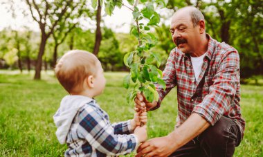 Bir büyükbaba ve torunu parkta otururken neşeyle burunlarına dokunurlar. Güneşli bir öğleden sonra yeşil çimenler ve ağaçlarla çevrilidir..