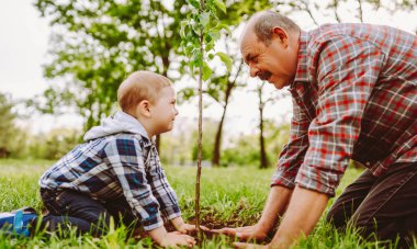 Bir büyükbaba ve torunu parkta otururken neşeyle burunlarına dokunurlar. Güneşli bir öğleden sonra yeşil çimenler ve ağaçlarla çevrilidir..
