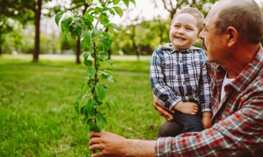 Bir büyükbaba ve torunu parkta otururken neşeyle burunlarına dokunurlar. Güneşli bir öğleden sonra yeşil çimenler ve ağaçlarla çevrilidir..