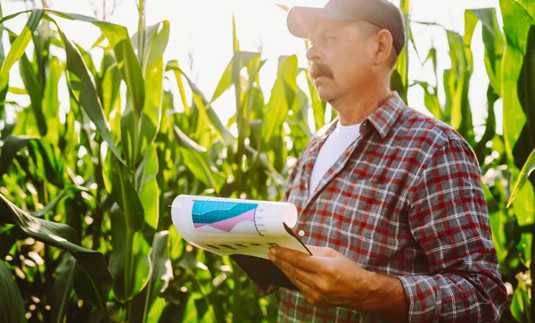 Şapka takan bir çiftçi tarlada mısır bitkilerini inceler. Bir tarım uzmanı bir tablet tutuyor ve mısırın büyümesi hakkında notlar alıyor. Güneş etrafındaki bitkilerin üzerinde parlıyor..