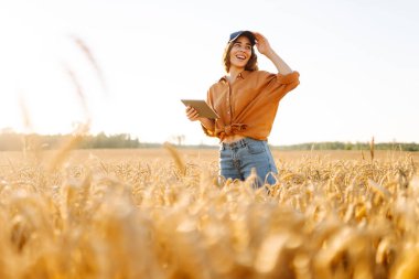 Dijital tabletli genç bir çiftçi güneşli bir günde altın buğday tarlasında çalışır. Kadın tarım uzmanı gün batımında tarladaki mahsulün kalitesini kontrol ediyor. Tarım kavramı, verimli bir hasat..