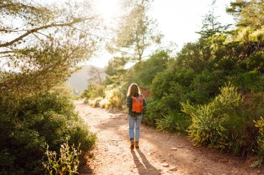 Sırt çantalı genç bir kadın yeşil bitkilerle çevrili dağ yolunda yürüyor. Dişi yürüyüşçü gün batımında dağ manzarasını ve doğayı sever. Konseptler: macera, rahatlama, aktif yaşam tarzı.