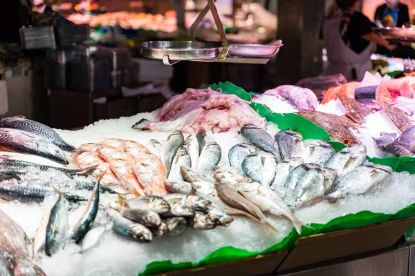 Diferentes tipos de pescado fresco sobre hielo en el mostrador de la lonja de Barcelona —  Fotos de Stock