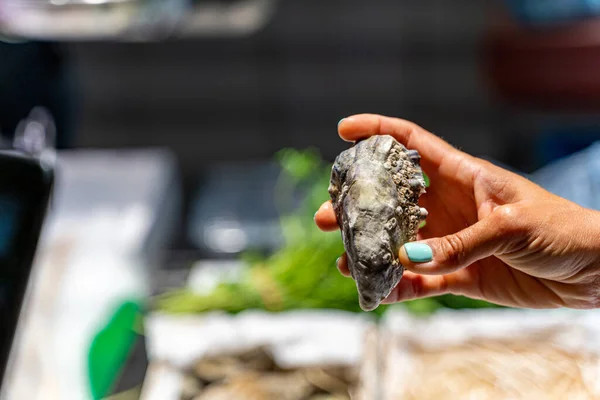 Grandi ostriche fresche in mano femminile al mercato del pesce di Barcellona — Foto Stock