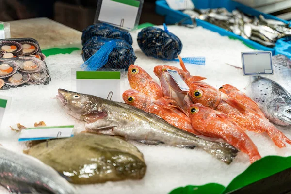 Diferentes tipos de pescado fresco sobre hielo en el mostrador de la lonja de Barcelona —  Fotos de Stock
