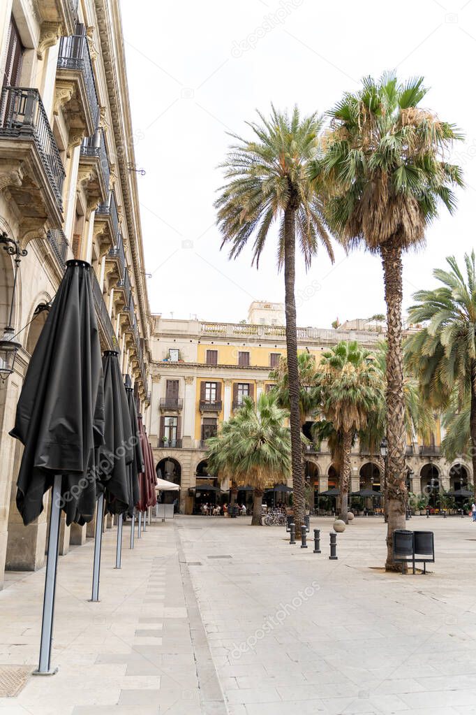 Square with historic houses with windows, arches, and palm trees in Barcelona