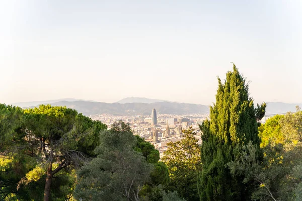 Aerial view to Barcelona from a green coniferous park on a sunny summer day — Stock Photo, Image