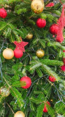 Kırmızı ve altın takılarla süslenmiş Noel ağacı, yeşil çam dalları arasında ip ışıkları ve kırmızı yıldızlar. Festival geleneği, neşeli atmosfer ve klasik bayram kutlaması kavramı