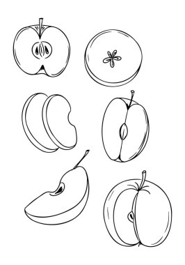 Elma dilimlerinin ve çapraz kesimlerin ana hatlarını siyah beyaz çizdim. Meyve anatomisi, sağlıklı beslenme ve doğal besin örnekleme kavramı