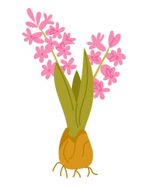 Yeşil yapraklı pembe çiçekli ampul ve düz vektör tarzında beyaz arka planda izole edilmiş narin çiçekler. Bahar büyümesi kavramı. Bahçe döngüsü ve bitki yaşamı başlıyor.