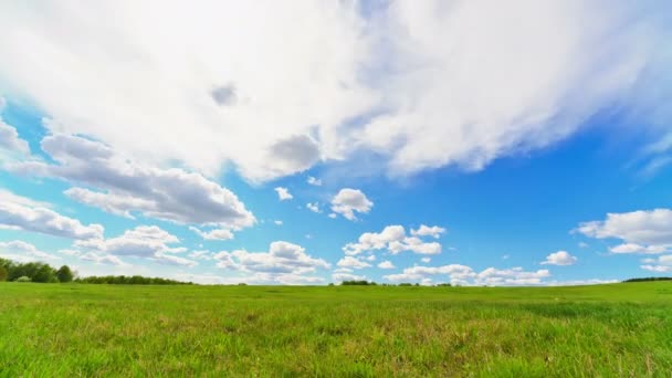 Paisagem, prado verde, movimento controlado dolly . — Vídeo de Stock