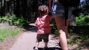 Bir anne ve oğlunun yaz günü ABD Ulusal Parkı 'nda yürüyüşlerinin yavaş çekim görüntüleri. 