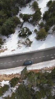 Dağ Ormanı kış manzarası, karlı ve yeşil ağaçlar ve araba manzarası