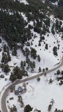 Karlı yolun havadan görünüşü, kış ormanı manzarası, karlı dağ yolu, yukarıdan çam ağaçları..