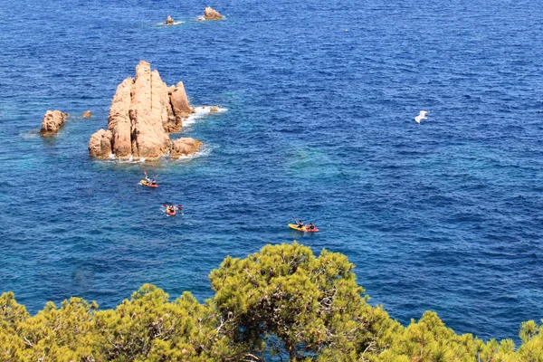 Gerona denizde üzerinde uçan martı