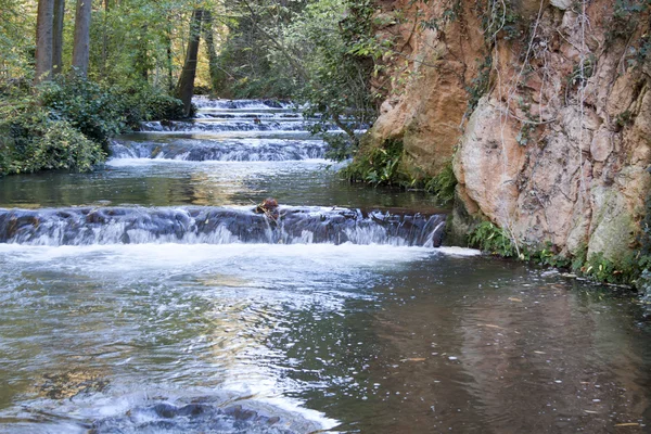 adımda düşen bir nehir su