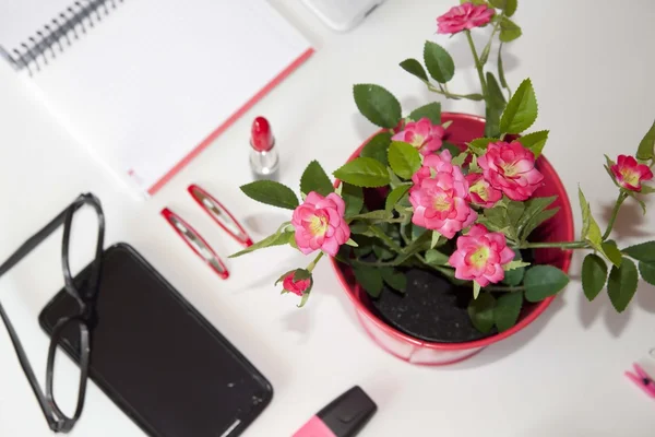 Blumentopf und andere Dinge in einem Tisch — Stockfoto