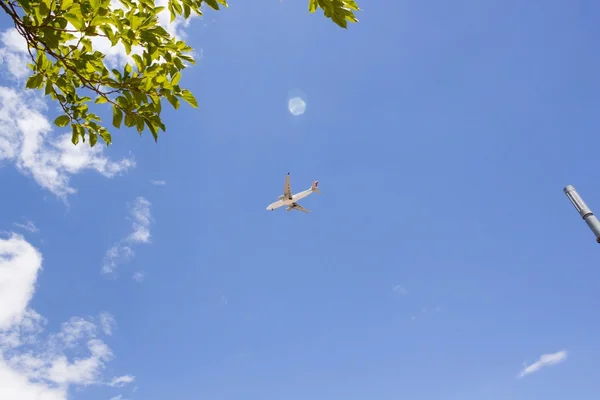 Yaz aylarında mavi gökyüzüne uçan düz