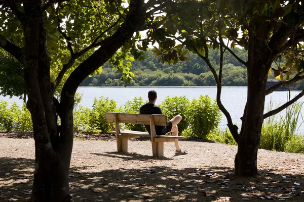 adam bir parkta bir bankta yaz aylarında dinlenme