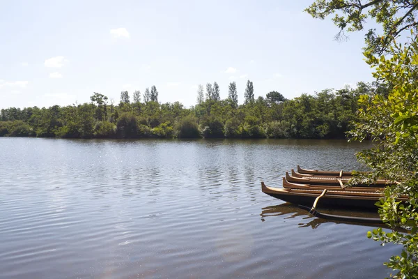Летом катается на каноэ в озере рядом с лесом — стоковое фото