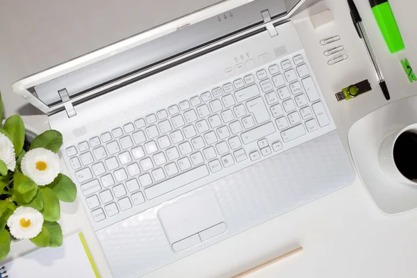 Laptop und grüne Dinge im Büro — Stockfoto