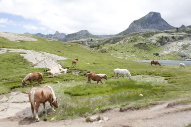 Ayous göller, Pyrenees, Fransa dağda yedi atları