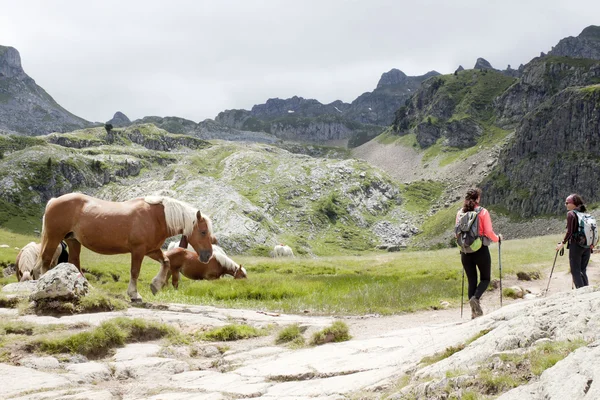 Cavalo e dois montanhistas na montanha em Ayous Lakes, Pirinéus, França — Fotografia de Stock