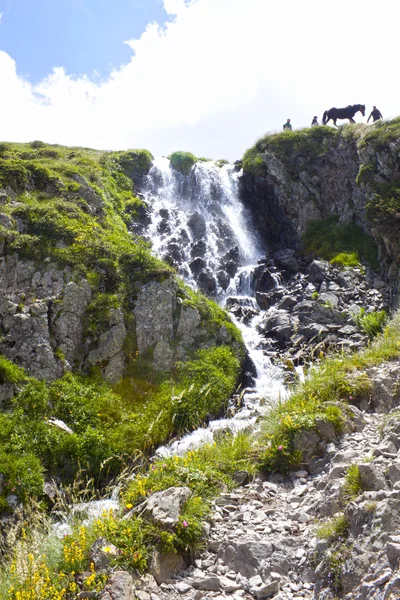 Egy ló, a fel zónában a hegyi vízesés — Stock Fotó