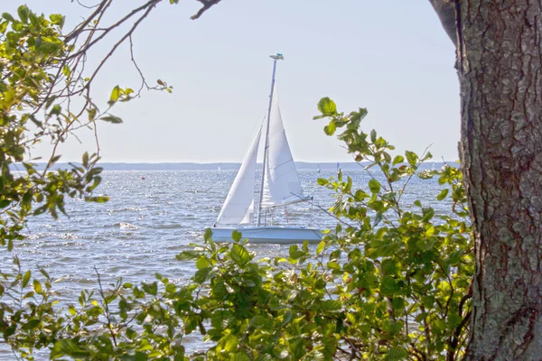 yelkenli tekne bazı ağaçların arkasında bir gölün ortasında