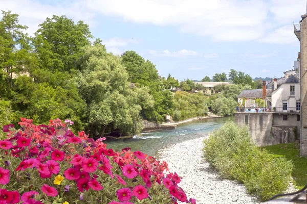 Canal detrás de unas petunias en Oloron Saint Marie, Francia — Foto de Stock