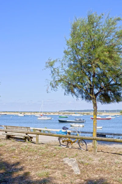 Bikepark in der Nähe eines Baumes am Meer in Frankreich lizenzfreie Stockfotos