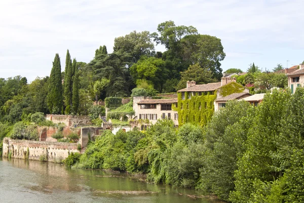 Casas con hiedra rodeadas de árboles en Albi, Francia — Foto de Stock