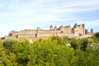 Fransa'da Carcassonne kale önündeki bazı ağaçları ile