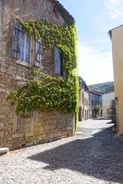 Strada con case con edera in Lagrasse, Francia — Foto Stock