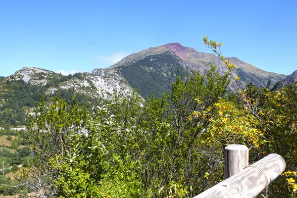 西班牙坎弗朗满山林的山顶 — 图库照片