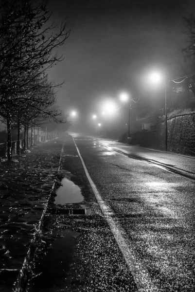 Yağmurlu, sisli bir gece asfaltta