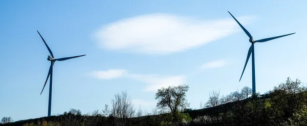 İtalyan Rüzgar Çiftliği