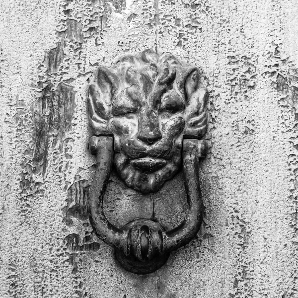 Tokmağı aslan kafa