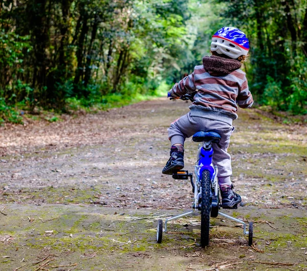 çocuk ormanda bir bisiklet sürme