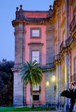 Ulusal Sarayı Müzesi Capodimonte