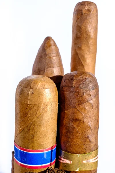 Küba purosu baş dikey olarak