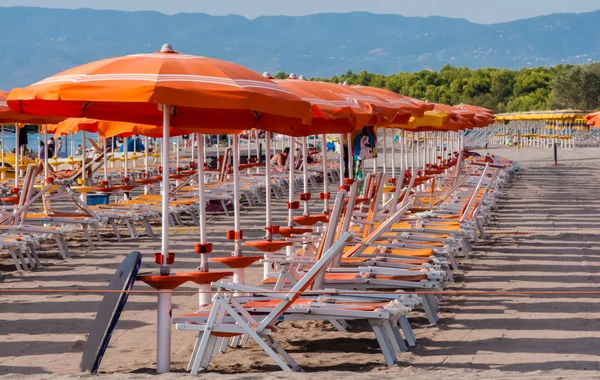 Satır turuncu şemsiye ile plaj. İyon Denizi, Calabria. İtalya