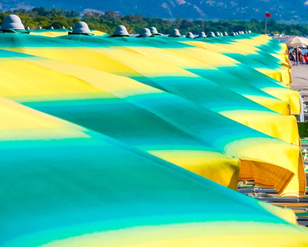 Satır bir Akdeniz sahil üzerinde renkli şemsiye. İyonya Denizi, 