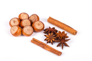 fındık fotoğraf illüstrasyon