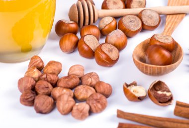 fındık fotoğraf illüstrasyon