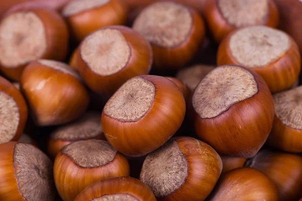 Hazelnuts photo illustration — Stock Photo, Image