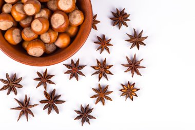 fındık fotoğraf illüstrasyon