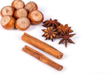 taze fındık fotoğraf illüstrasyon