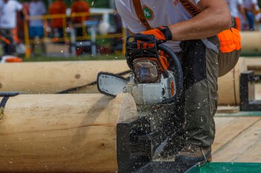 Kiev. Ukrayna. 22 Haziran 2019. Elektrikli testere. Stihl, Alman elektrikli testere ve diğer el teçhizatı üreticisi.